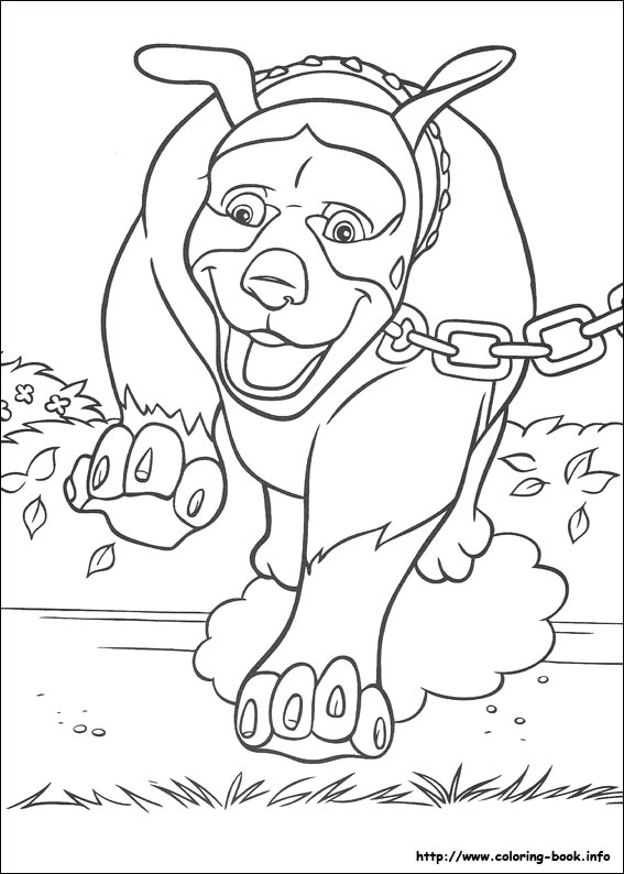 Over the hedge coloring picture